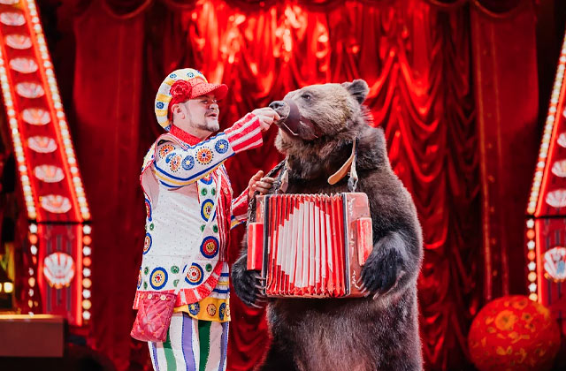 Гомельский цирк. Шоу «Бурлеск» Гомельский цирк. Шоу «Бурлеск»