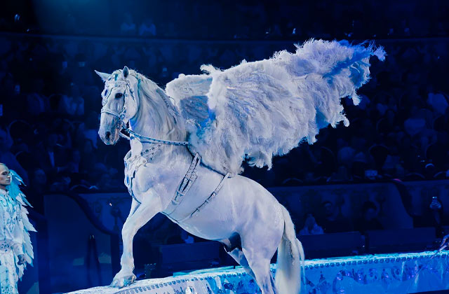 Гомельский цирк. Шоу «Бурлеск» Гомельский цирк. Шоу «Бурлеск»
